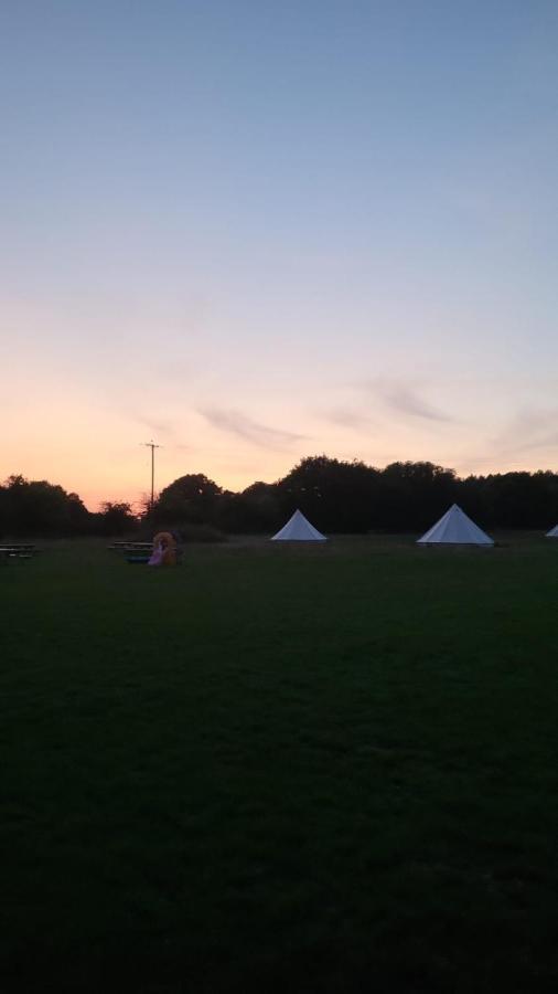 Dorset Glamping Fields 호텔 Corfe Mullen 외부 사진
